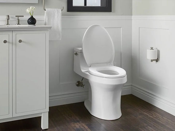 Bathroom toilet and vanity