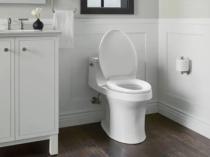 Bathroom toilet and vanity